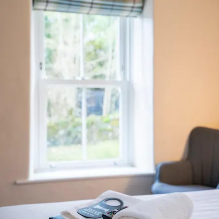 Royal ドックレー