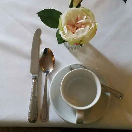 Royal ドックレー