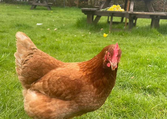 Royal Gasthof Dockray